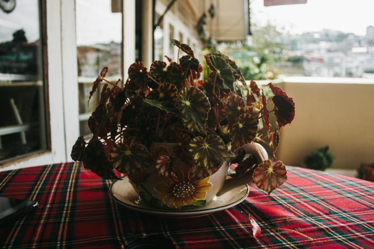 Rock Cliff Home Stay Shillong Ngoại thất bức ảnh