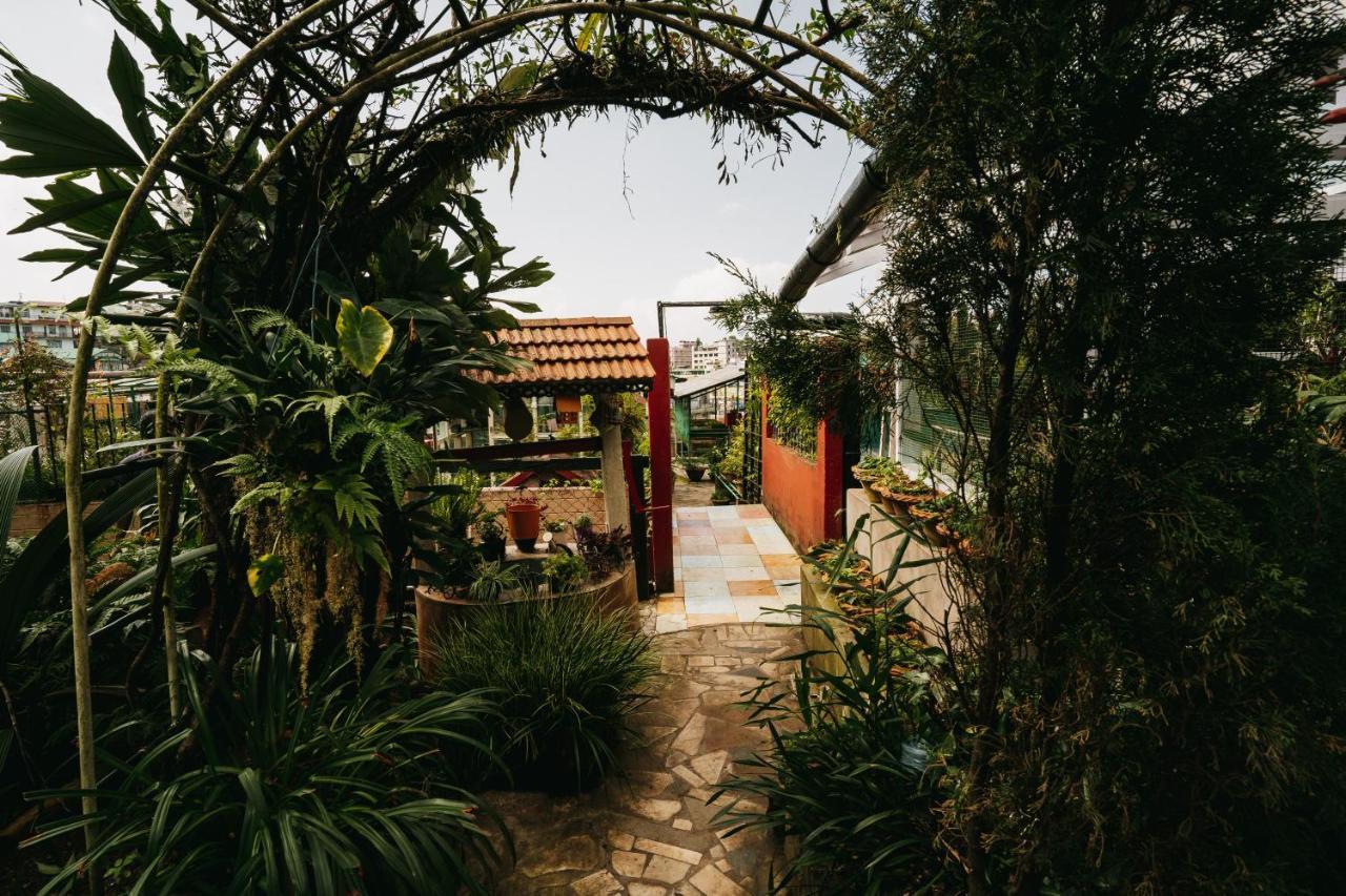 Rock Cliff Home Stay Shillong Ngoại thất bức ảnh