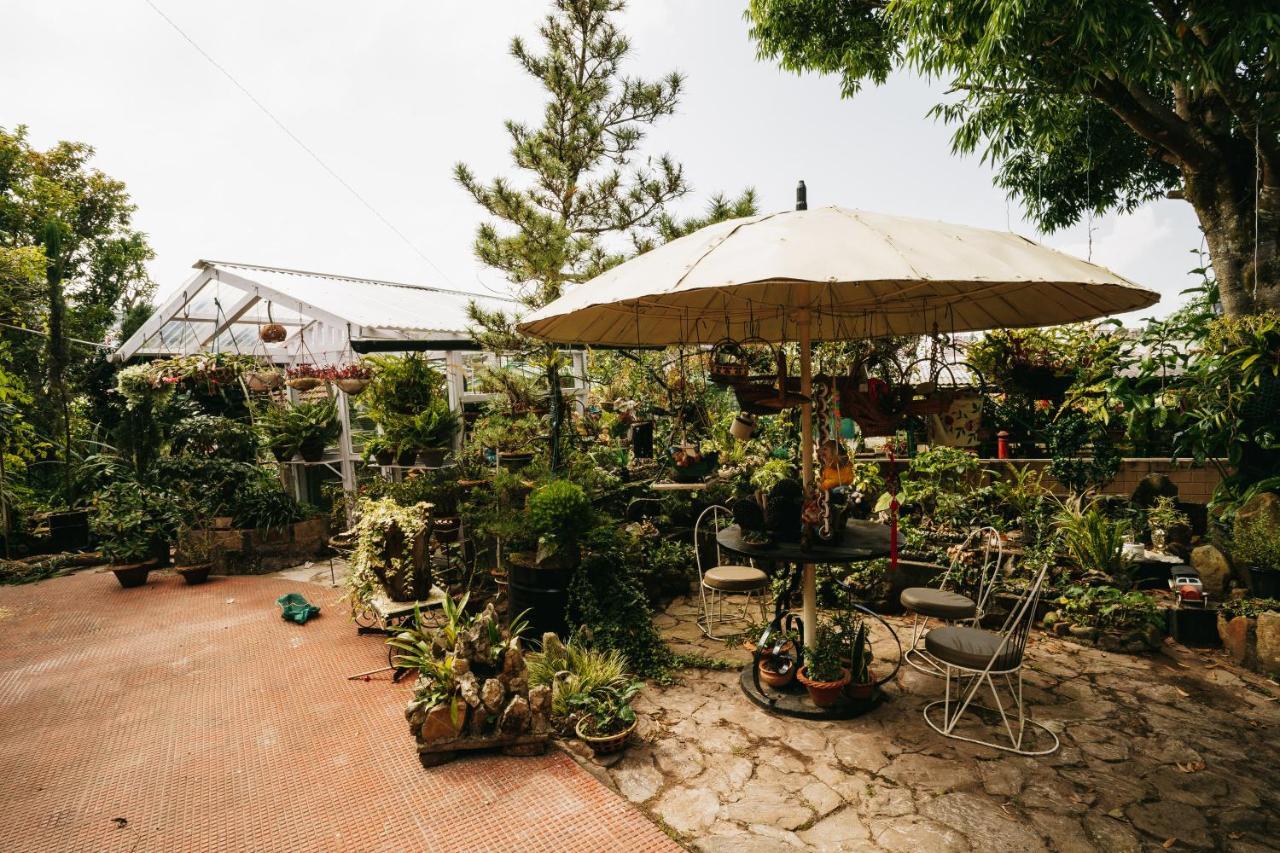 Rock Cliff Home Stay Shillong Ngoại thất bức ảnh